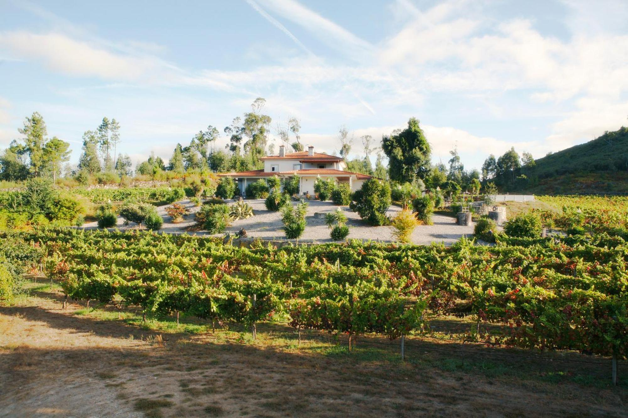 Quinta da Paixão overlooking the Minho Valley